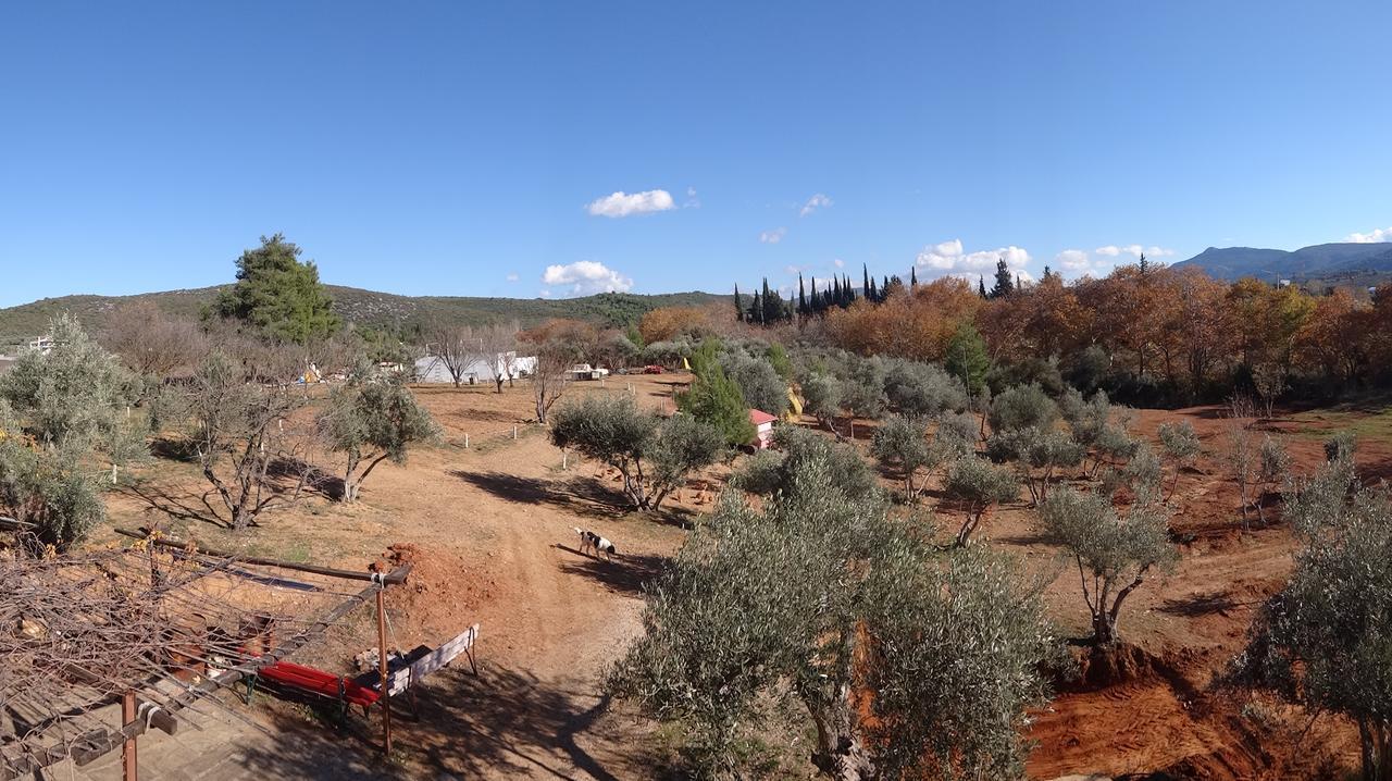Relax In 'Crazy Farm' Villa Asprokhorion Dış mekan fotoğraf