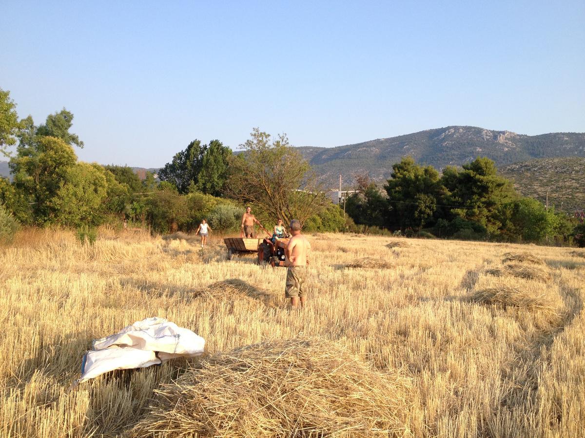 Relax In 'Crazy Farm' Villa Asprokhorion Dış mekan fotoğraf